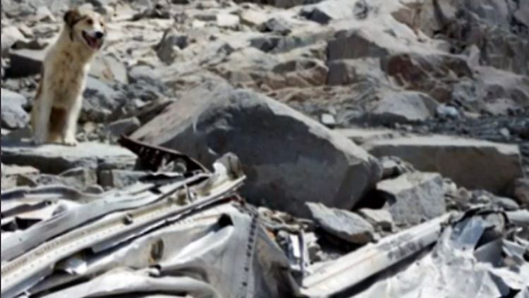 Chile_Flugzeugwrack.jpg