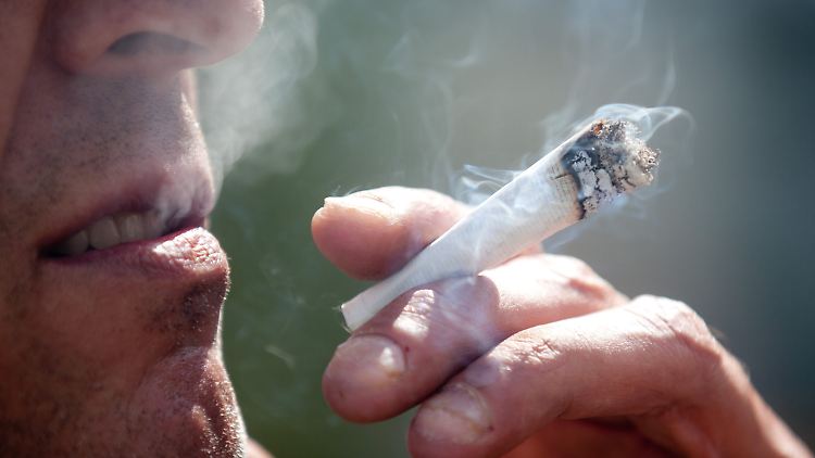 Vor allem das Suchtpotenzial ist bei Cannabis sehr gefährlich, meinen Experten.