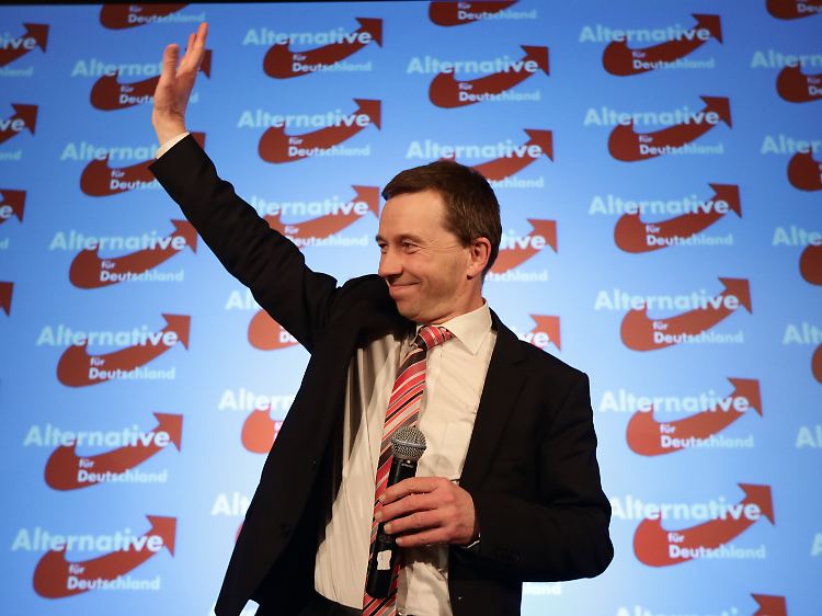 AfD-Chef Bernd Lucke zeigte sich mit dem Ergebnis seiner Partei in Hamburg sehr zufrieden.