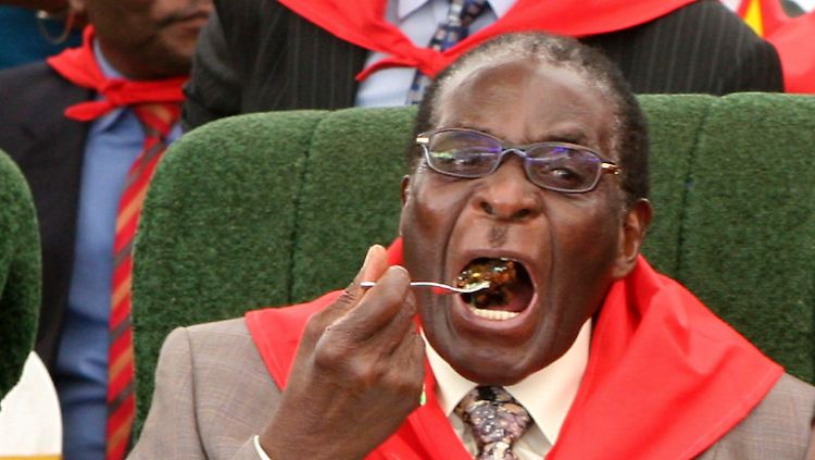 Mugabe feiert seinen Jahrestag immer ausgiebig - hier den 85. im Jahr 2009.
