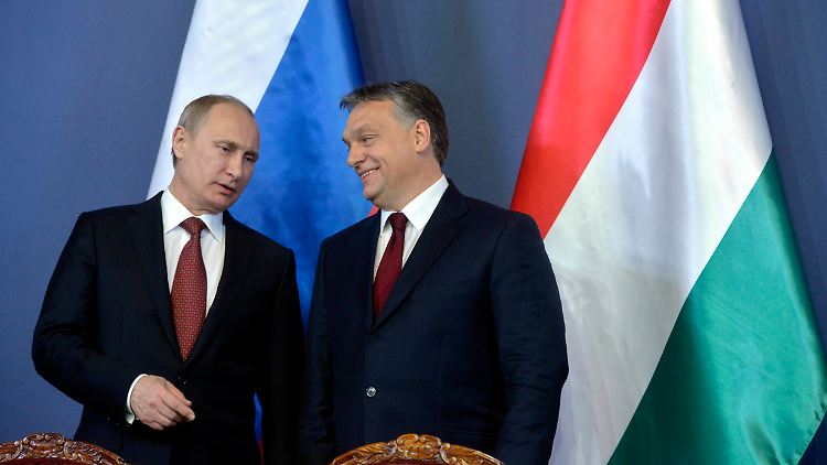 Im Zusammenhang mit den blutigen Kämpfen in der Ostukraine sprach Putin von "einigen Zusammenstößen".
