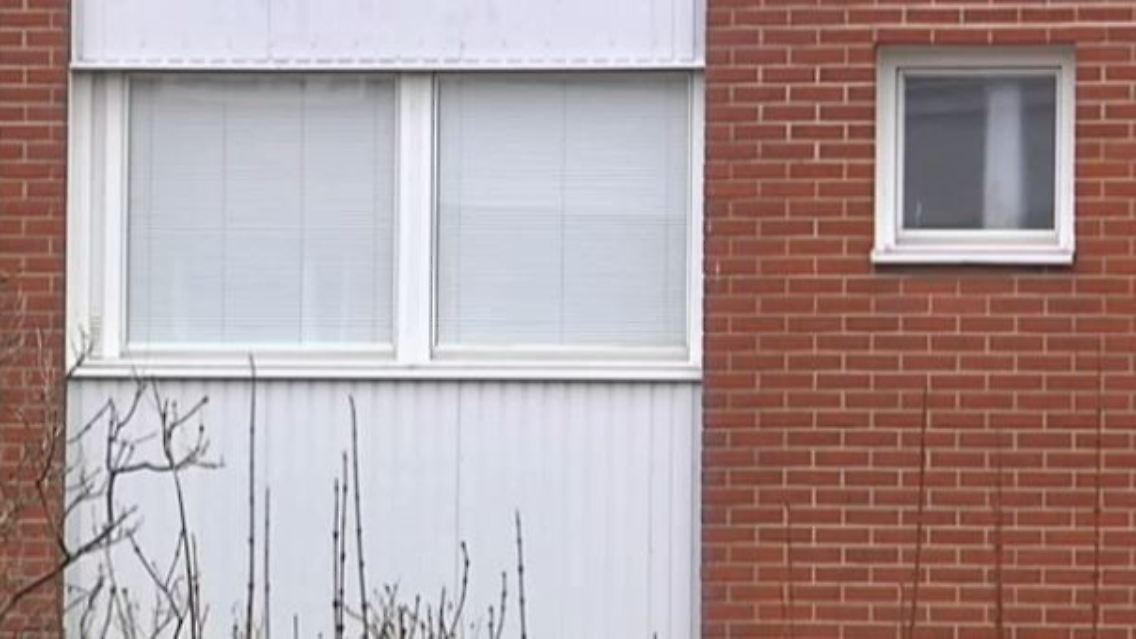 fenster.JPG