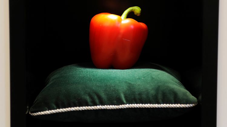 Gestatten: Seine Majestät, der Paprika.