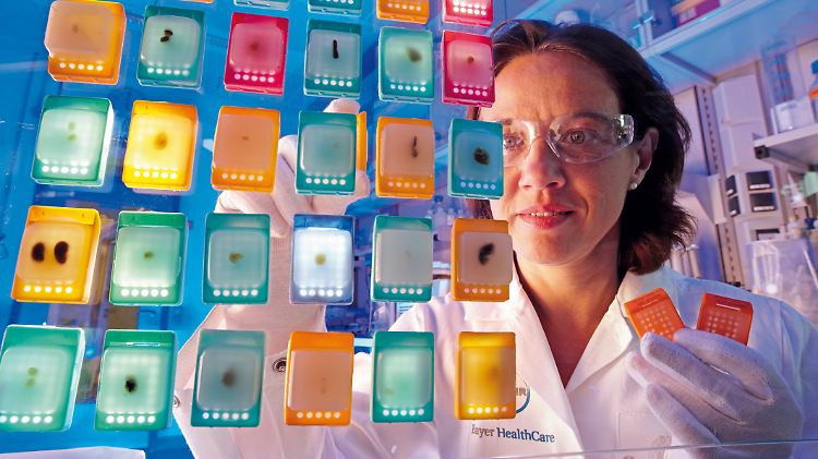 Die Gesundheitssparte HealthCare steigerte ihren bereinigten operativen Gewinn um 2,8 Prozent auf 5,48 Milliarden Euro.