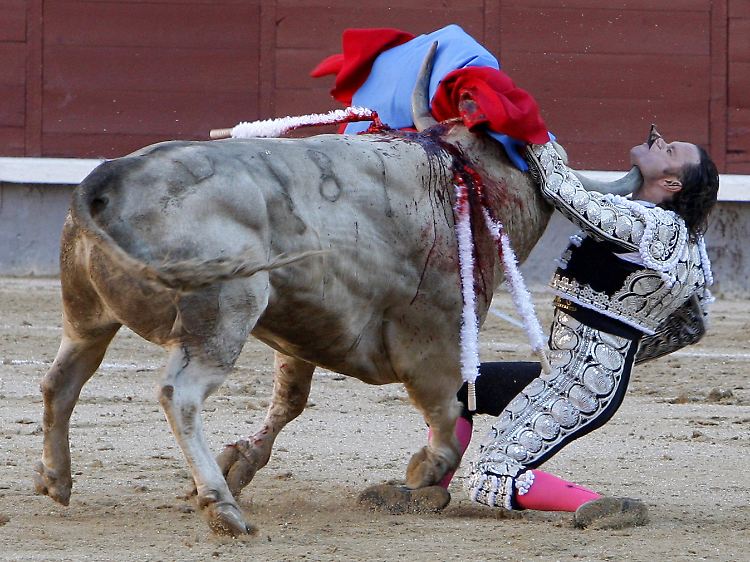 Dieses Bild ging um die Welt: Am 21. Mai 2010 wurde der spanische Matador Julio Aparicio von einem Stier schwer verletzt.