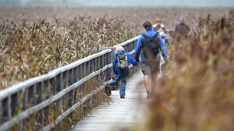 Wenn der Vater mit dem Sohne einen Ausflug macht, ist er schon ganz dicht dran am Titel "Spitzenvater".