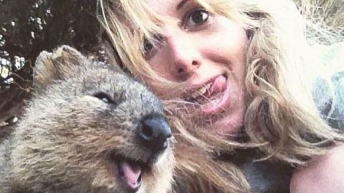 Quokka2.JPG