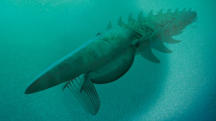 Können Sie die Verwandschaft des Aegirocassis benmoulae mit heutigen Insekten, Krebs- und Spinnentieren noch erkennen?