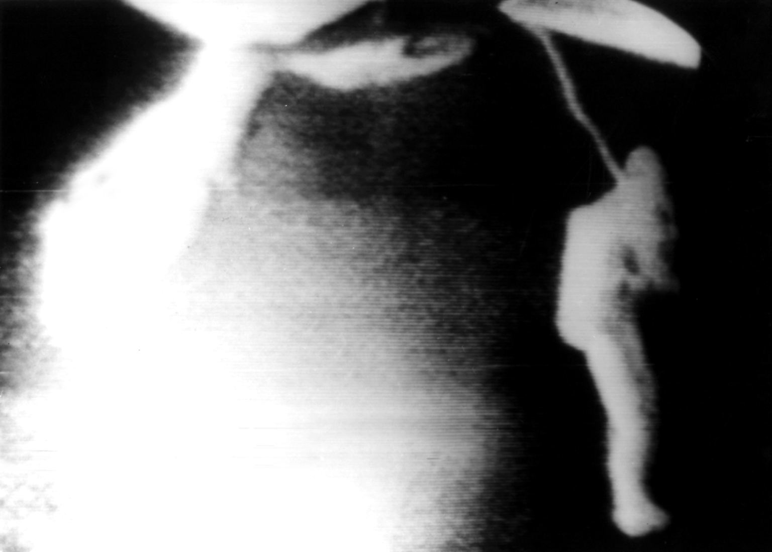Es ist der 18. März 1965, als sich zum ersten Mal ein Mensch ins freie All hinauswagt. Der russische Raumfahrer Alexei Archipowitsch Leonow verlässt die Raumkapsel Woschod 2 und macht einen weiten Schritt ins Nichts. 