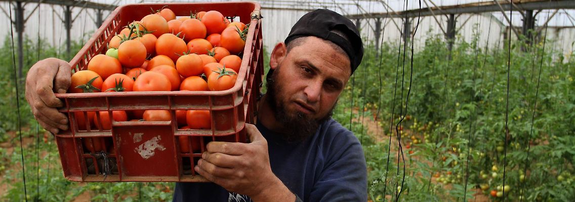 Die Landwirtschaft in Gaza könnte sich durch die neue Regelung erholen.