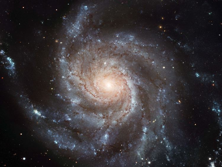 Kleinere Satellitengalaxien, die einer Spiralgalaxie zu nahe kommen, werden eingefangen und zu länglichen Sternströmen verformt.