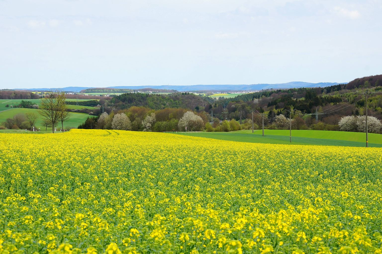 Nicht allzu viele US-Amerikaner wissen, dass es Idar-Oberstein gibt. Geschweige denn, wie man es ausspricht. 