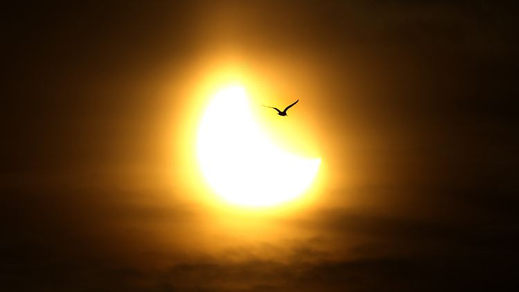 Ein faszinierendes Ereignis: Der Mond nimmt uns das Sonnenlicht.