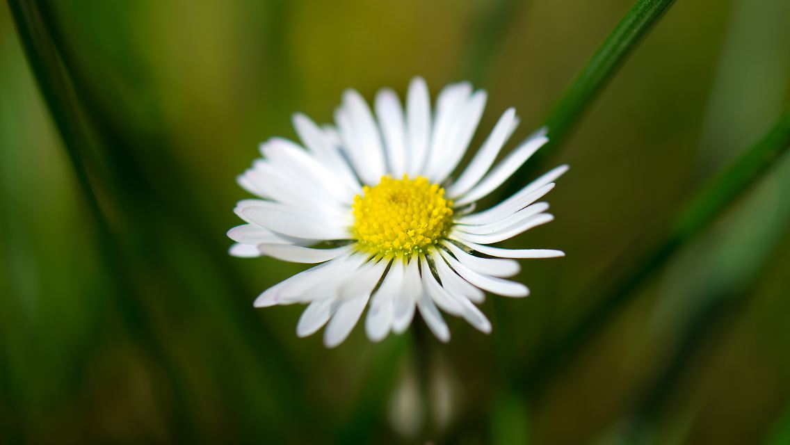 3odp1520.jpg6864568854800147288.jpg