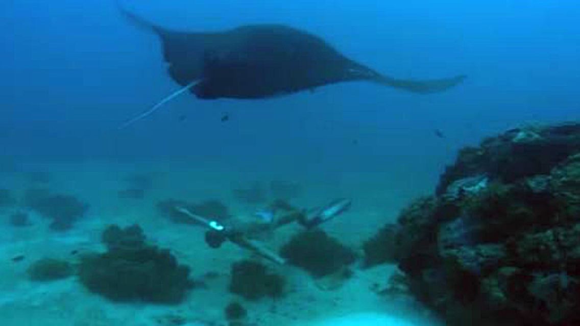 Ocean Film Tour.JPG