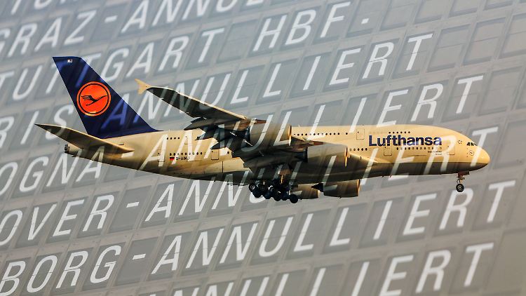 Flugbegleiter rufen Lufthansa und Cockpit zu Mediation auf