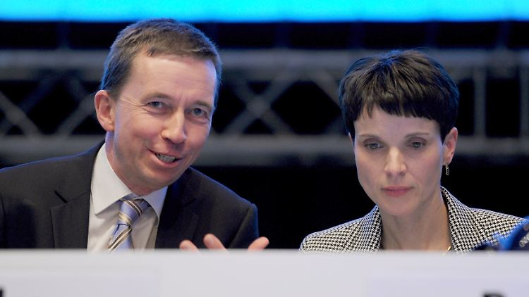 Gute Miene, böses Spiel: Bernd Lucke und Frauke Petry beim AfD-Parteitag in Bremen.