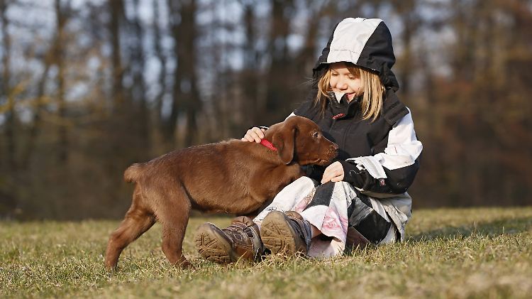 Wer einen Hund hat, ist oft draußen. Das ist gesund. Beugt es auch Allergien vor?