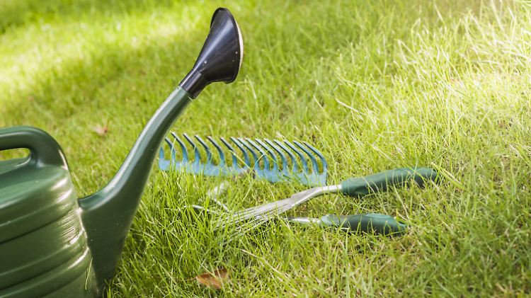 Analoge Gartenarbeit kommt aus der Mode.