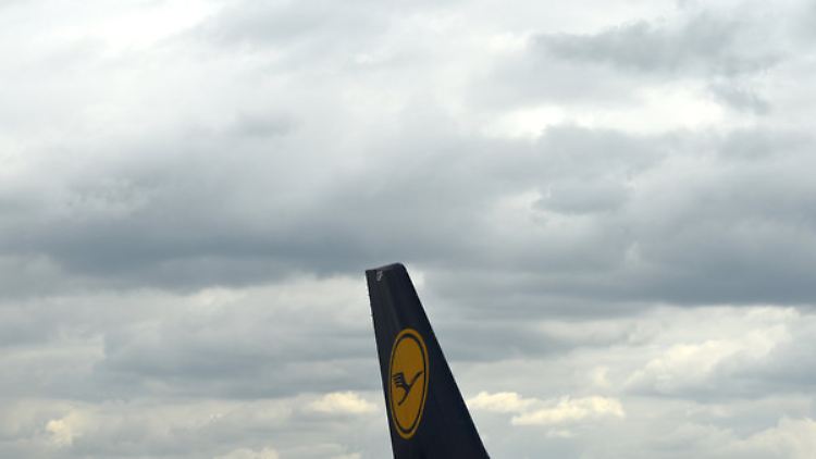 57014459.jpg