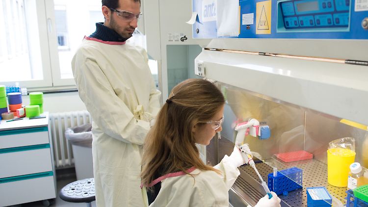 Mitarbeiter des Instituts für Tropenmedizin am Uniklinikum Tübingen demonstrieren die klinische Studienvorbereitung in einem Labor des Instituts.