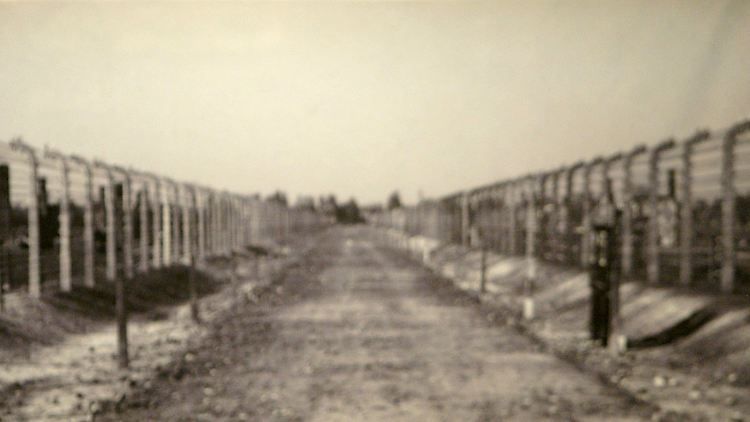 Im Konzentrationslager in Auschwitz-Birkenau wurden zwischen 1941 und 1945 mehr als eine Million Menschen ermordet.