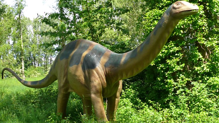 Der Apotosaurus excelsus ist offenbar doch ein Brontosaurier.