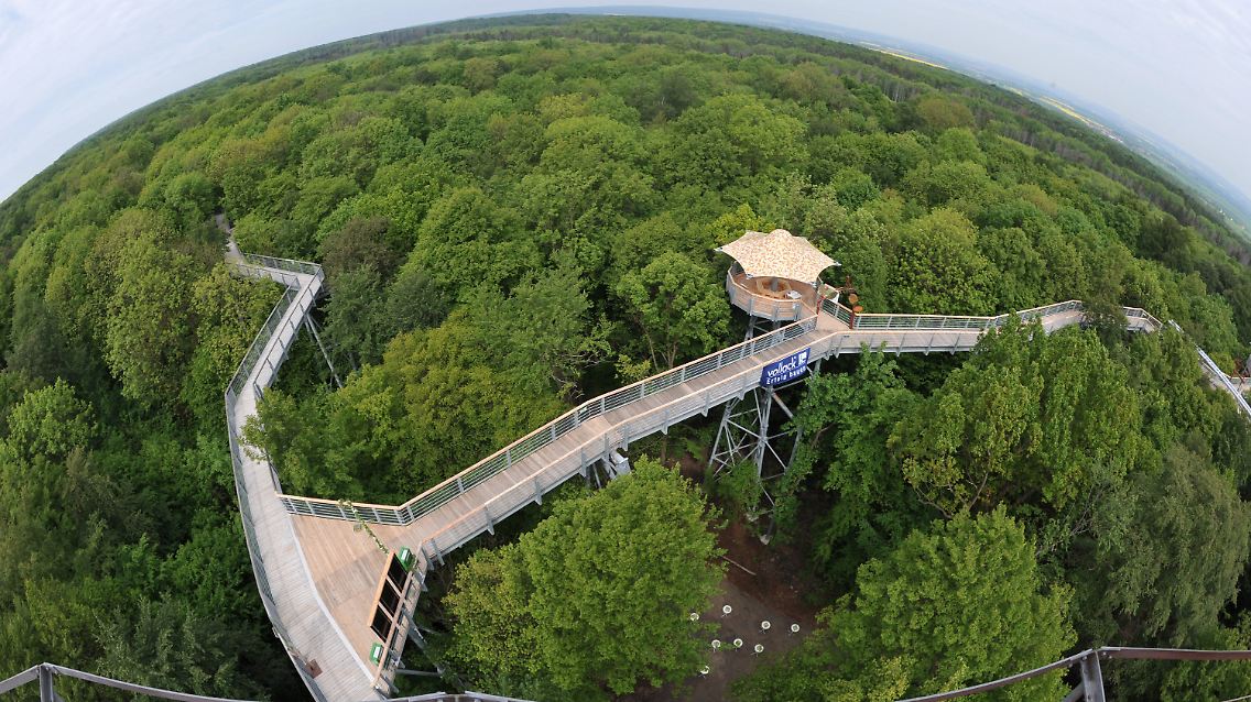 Blick auf den Rundkurs des Baumkronenpfades bei Bad Langensalza im Nationalpark Hainich. Er kam auf den dritten Platz.