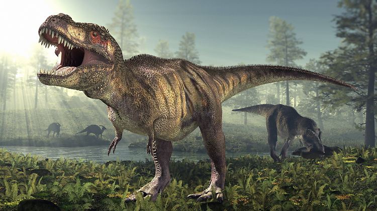 Rasiermesserscharfe Zähne, ein riesiger Kopf und kräftige Hinterbeine charakterisieren die Tyrannosauridae (hier der T-rex).