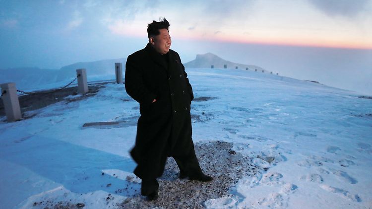 Von einem Hauch deutscher Romantik umweht: Kim Jong Un auf dem Berg. Sogar die Gefolgsleute, die gewöhnlich seine Gedanken notieren, scheinen diesmal zu fehlen.