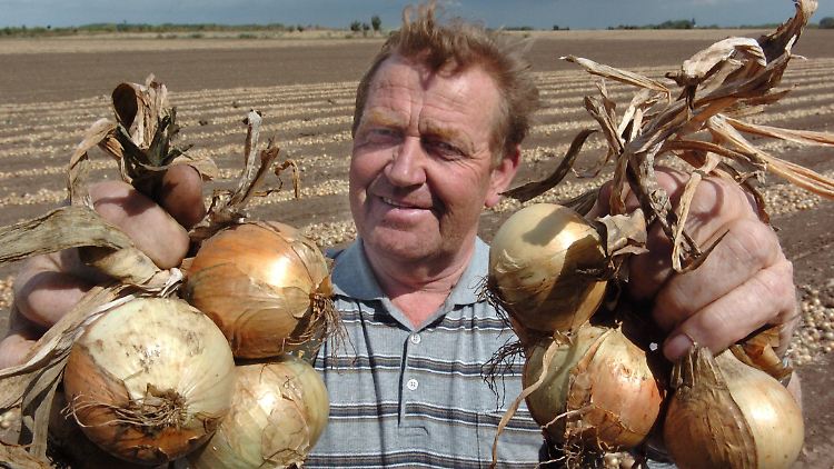 Man muss sich nicht nackig machen, um super "Bollen" zu ernten.