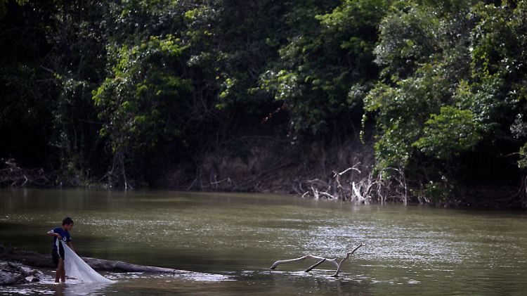 Fluss im Amazonas-Regenwald in Brasilien.