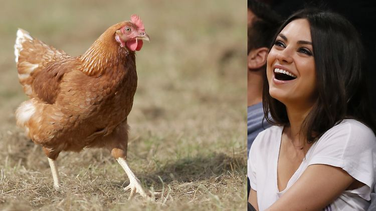 Mila Kunis soll ein Huhn gestohlen haben. Darüber können die Schauspielerin und ihr Mann Ashton Kutcher nur lachen.