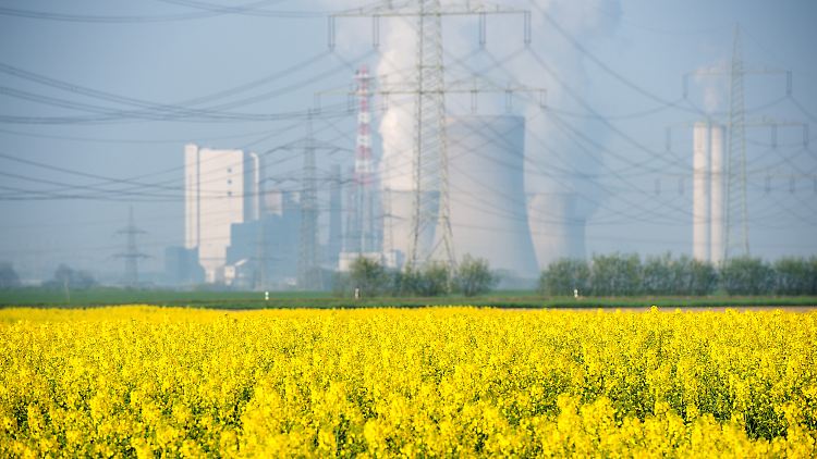 Vor dem Braunkohlekraftwerk Niederaußem (NRW).