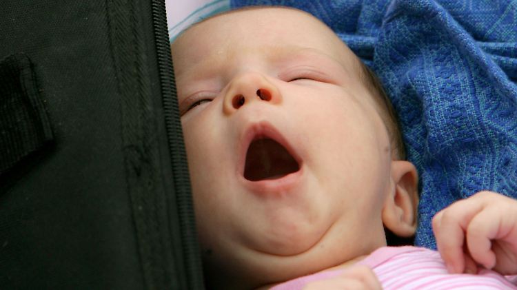 Wenn sie gähnt, gähnen wir auch. Aber umgekehrt gilt das nicht.