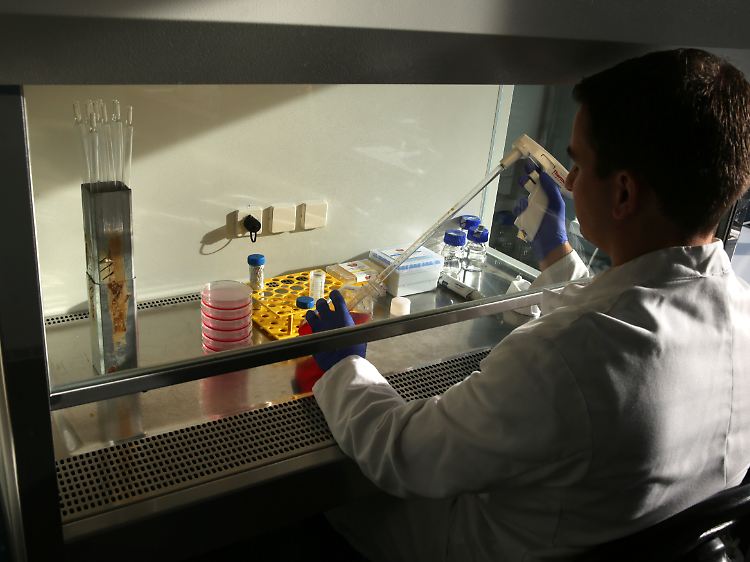 Institut für Experimentelle Gentherapie und Tumorforschung (IEGT) der Universitätsmedizin Rostock: Hier haben Forscher 2013 ein Gen entdeckt, das für die Metastasierung von Tumoren verantwortlich sein soll.