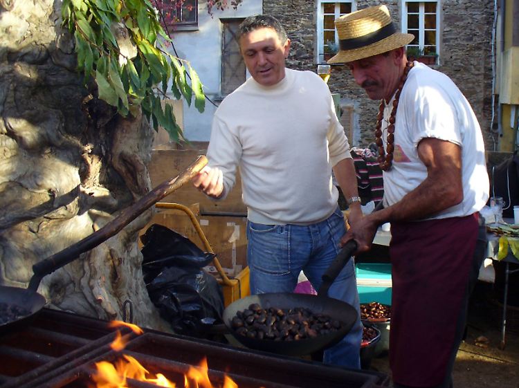 Bei den "Fêtes de la Châtaigne" im französischen Bergdorf Collobrières werden die Kastanien über vielen Feuerstellen geröstet