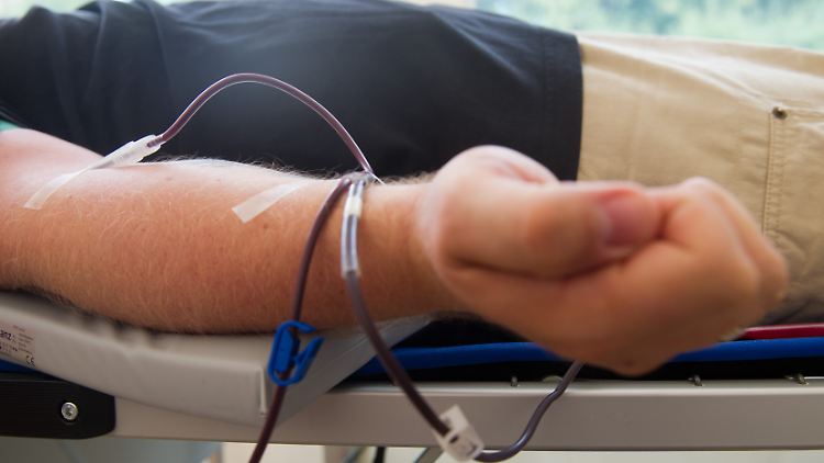 Tausende Patienten sind in Deutschland jährlich auf Blutkonserven angewiesen.