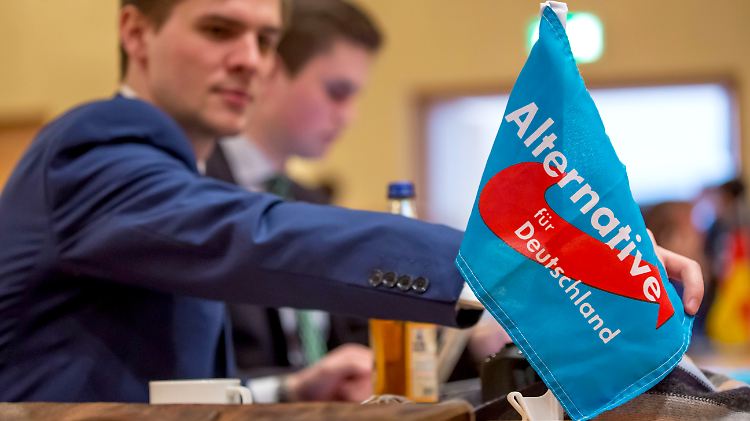 Die AfD ist in vier Länderparlamenten vertreten.