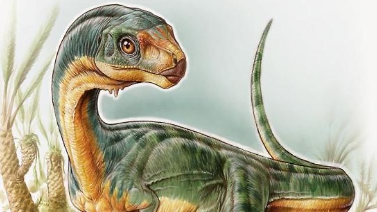 Chilesaurus diegosuarezi gehörte zu den Theropoden, die sich pflanzlich ernährten.