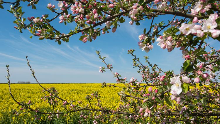 Am heißesten soll es an der Grenze zu Österreich werden: Temperaturen von bis zu 30 Grad können dort möglich sein.