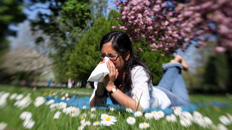 Allergiker leiden unter der Pracht des Frühlings.
