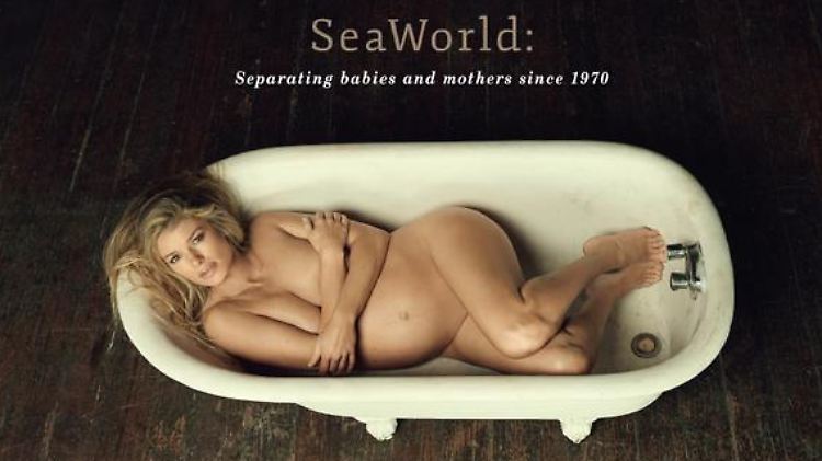 So beklemmend wie für sie die Wanne müsse ein Freizeitparkbecken für Wale sein, da ist sich Marisa Miller sicher.