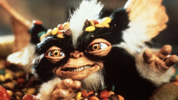 Bitte nicht nach Mitternacht füttern: Auch die "Gremlins" sollen eine Neuauflage erleben.