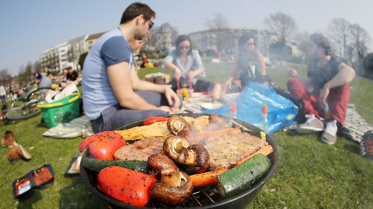 An der Außenalster in Hamburg: Einen Platz zum Grillen gibt es fast überall.
