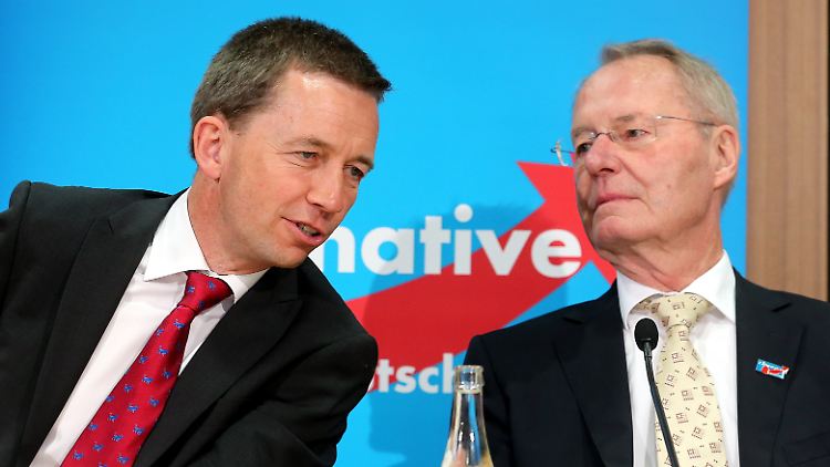 Bernd Lucke und Hans-Olaf Henkel wollen den rechtskonservativen Flügel der AfD loswerden.
