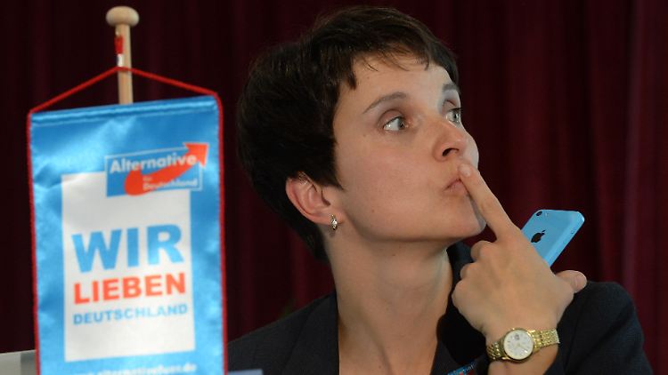 Kein Wort mehr über Parteineugründungen - das fordert die Co-Vorsitzende der AfD, Frauke Petry.