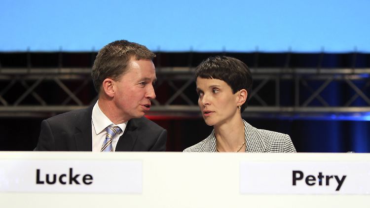 Die beiden Vorsitzenden Lucke und Petry wollen künftig nicht mehr zusammenarbeiten.