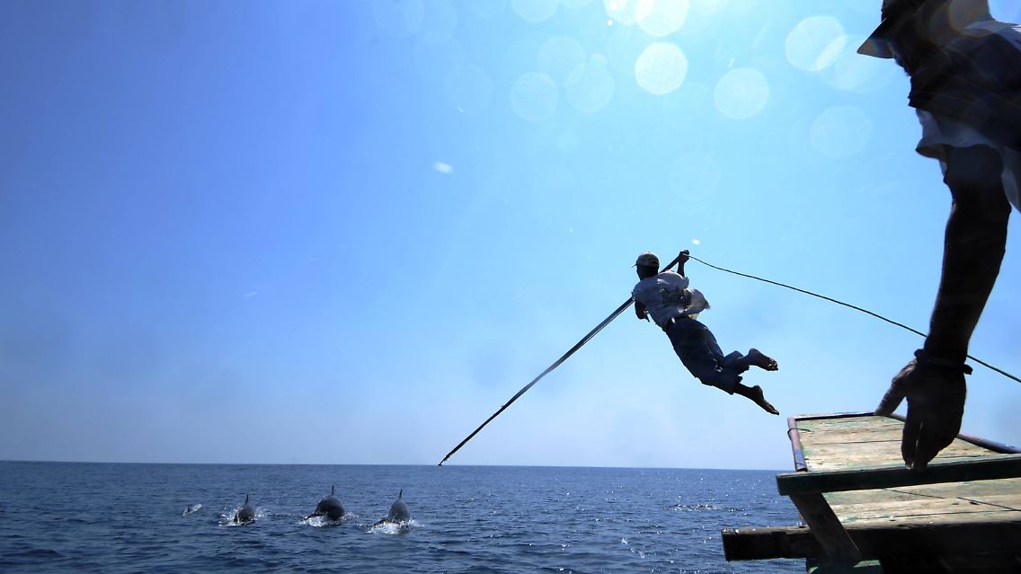 Blutige Tradition: Japanische Fischer bei der Delfinjagd.