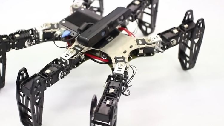 Durch Ausprobieren testet der Versuchs-Roboter nach einer Verletzung neue Bewegungsmuster, um zum Ziel zu kommen-